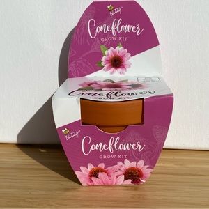 🔥5/$25🔥Buzzy Mini Flower Grow Kit in a Terra Cotta Pot: Coneflower